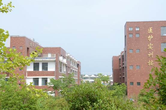 说明: DSC_9359