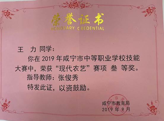 2019王力