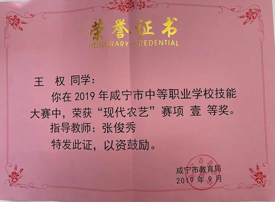 2019王权