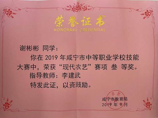2019谢彬彬