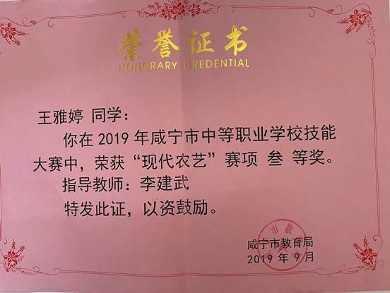 2019王雅婷