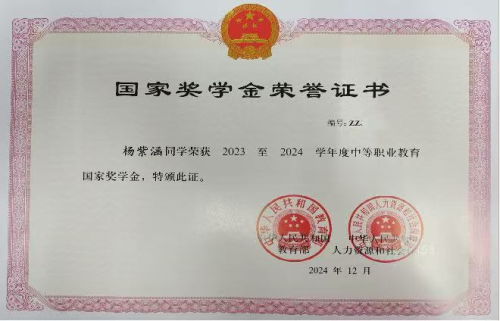 砥砺奋进，筑梦未来—— 艺术体育系杨紫涵同学荣获2024年度国家奖学金