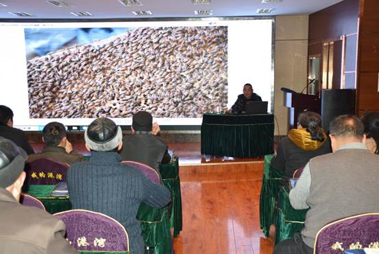 说明: 宜昌市养蜂土专家谭玉泉授课1