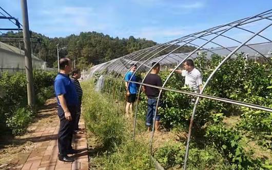 说明: c0e2566eb6a4b9481bb49a353800a0f