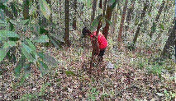 说明: 8a6140b5b4c260609ef69c4476771b0,说明: 20b11982a77e2f024aa076a793e4d3d